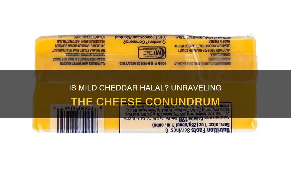 is mild cheddar cheese halal