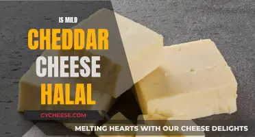 Understanding Halal Status of Mild Cheddar Cheese