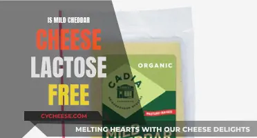 Mild Cheddar Cheese: Lactose-Free or Not? Unraveling the Mystery