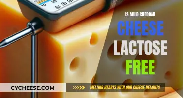 Mild Cheddar Cheese: Lactose-Free or Not?