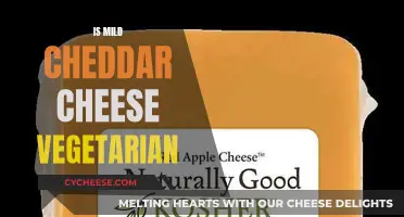 Unveiling the Vegetarian Status of Mild Cheddar Cheese