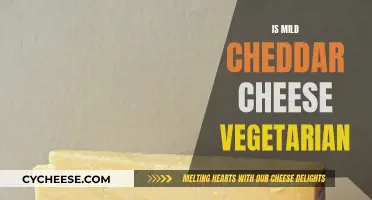Cheddar Cheese: Vegetarian-Friendly or Not?