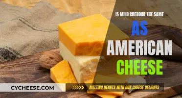 Mild Cheddar vs. American Cheese: Unraveling the Cheesy Similarities