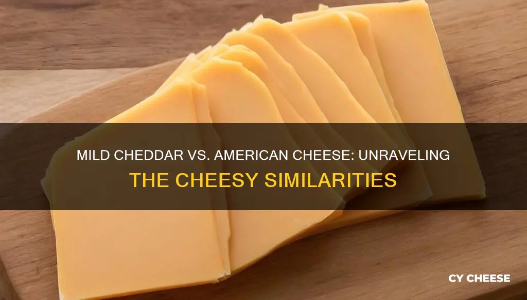 is mild cheddar the same as american cheese