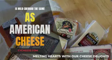 Cheddar vs. American Cheese: What's the Real Difference?