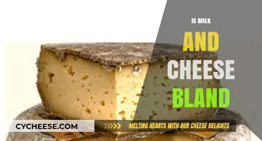 Is Milk and Cheese Bland? Exploring the Taste Debate