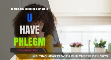 Milk and Cheese with Phlegm: Healthy Choice or Mucus Trigger?