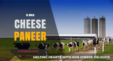 Milk, Cheese, Paneer: Understanding the Dairy Transformation Process