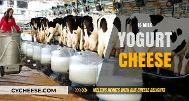 Milk, Yogurt, Cheese: Understanding Dairy's Transformative Journey and Benefits