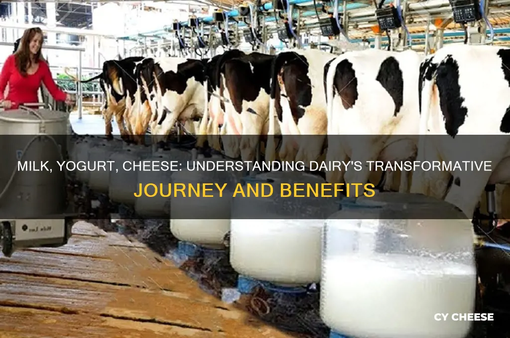 is milk yogurt cheese