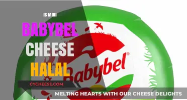 Is Mini Babybel Cheese Halal? A Comprehensive Guide for Consumers