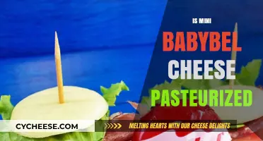 Is Mini Babybel Cheese Pasteurized? A Complete Guide