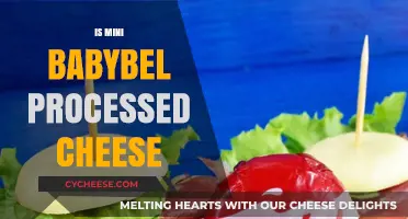 Is Mini Babybel Processed Cheese? Uncovering the Truth Behind the Snack