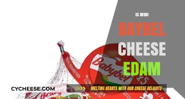 Mini Babybel Cheese vs. Edam: Unraveling the Tasty Truth