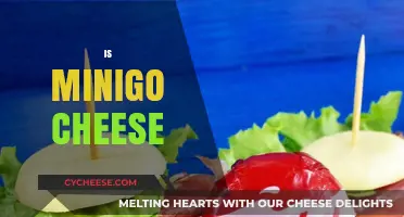 Is Mini Babybel Cheese Healthy? Uncovering the Truth About MiniGo Cheese