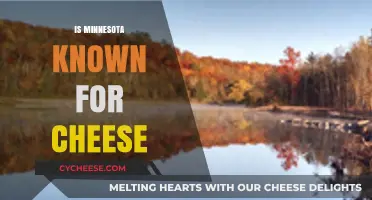 Minnesota's Cheese Legacy: Uncovering the State's Dairy Delights and Fame
