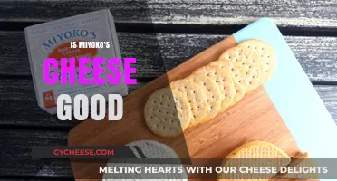 Is Miyoko's Cheese Worth the Hype? A Tasty Review
