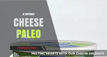 Is Miyoko's Cheese Paleo? A Comprehensive Dietary Analysis