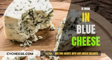 The Mystery of Blue Cheese's Mold