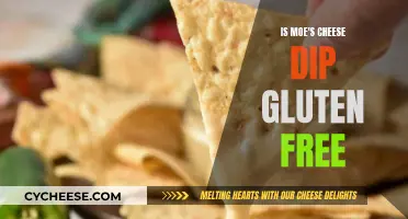Moe's Cheese Dip: Gluten-Free Indulgence