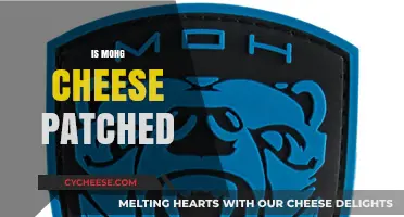 Is Mohg Cheese Patched? Exploring the Latest Updates and Fixes