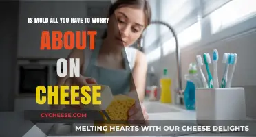 Beyond Mold: Uncovering Hidden Cheese Concerns You Should Know