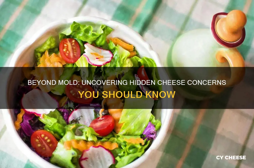 is mold all you have to worry about on cheese
