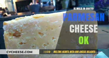 Moldy Parmesan: Is It Safe to Eat?