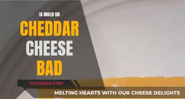 Is Mold on Cheddar Cheese a Health Hazard?