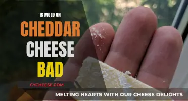 Mold on Cheddar: When to Worry and When to Eat