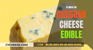 Can You Eat Moldy Cheddar? Uncovering the Edibility of Mold