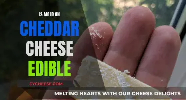 Mold on Cheddar: Safe to Eat?