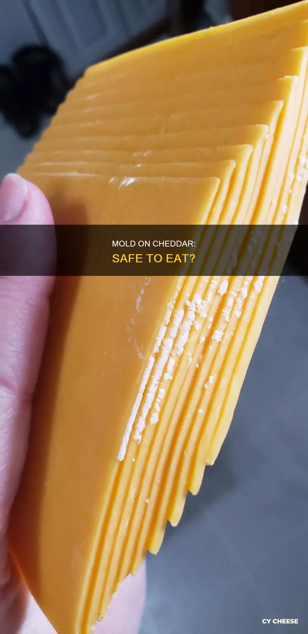 is mold on cheddar cheese edible