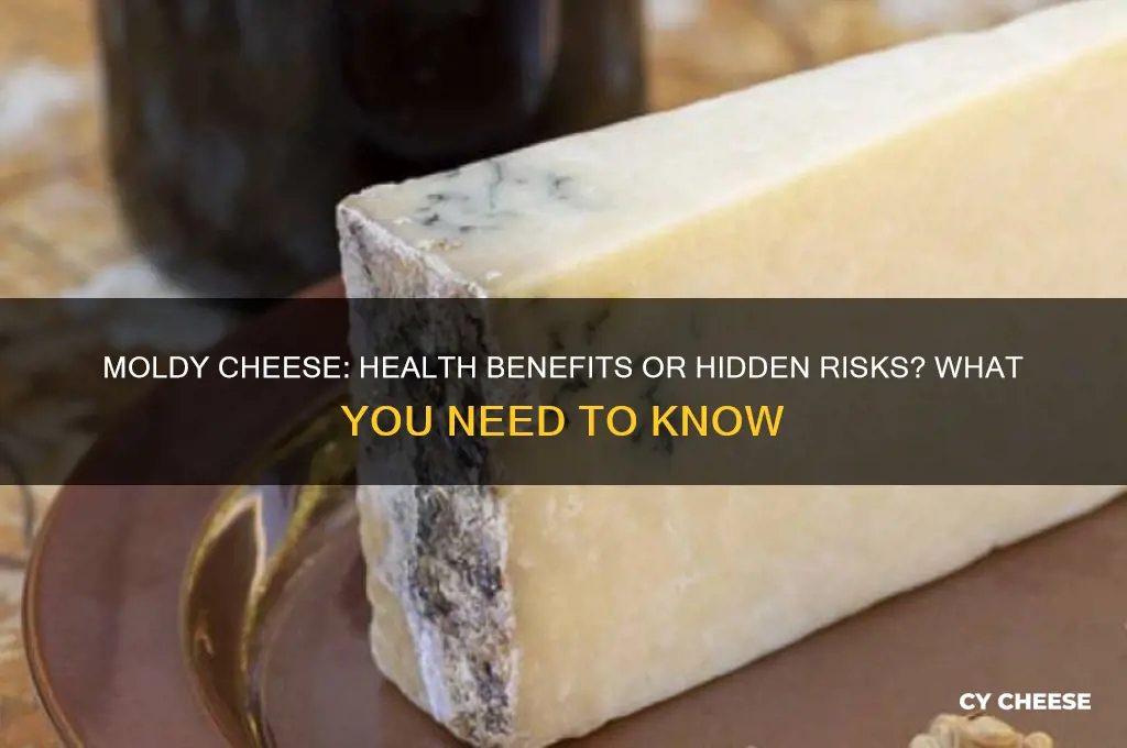 is mold on cheese good for you