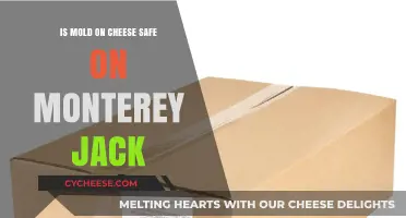 Is Mold on Monterey Jack Cheese Safe to Eat?