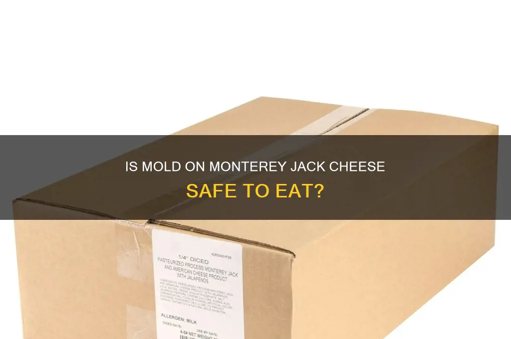 is mold on cheese safe on monterey jack