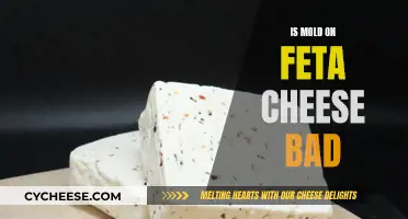 Mold on Feta Cheese: Harmful or Not?
