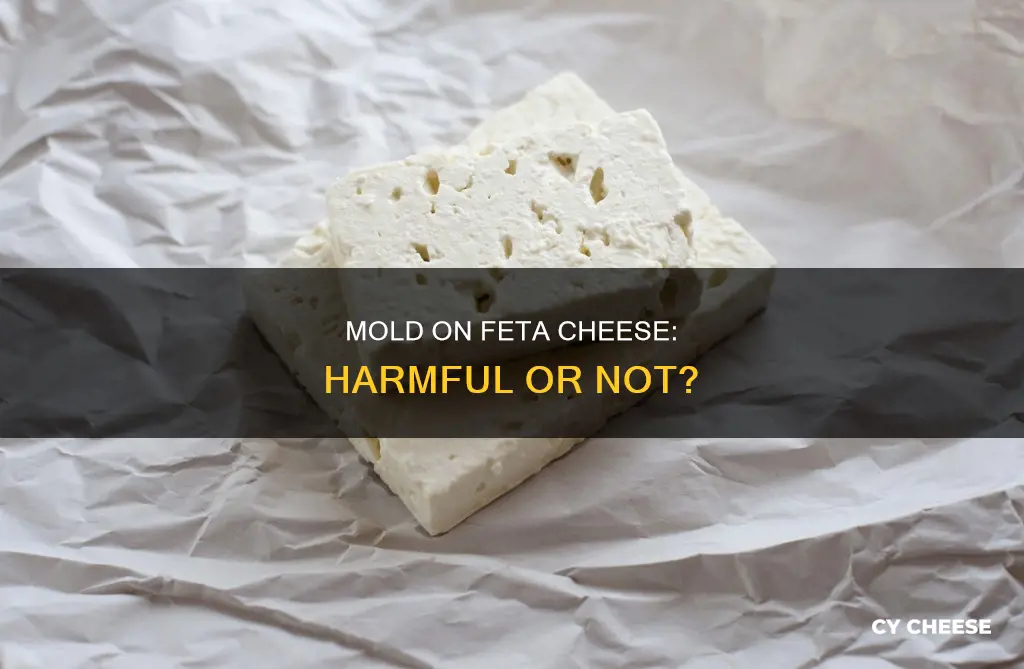 is mold on feta cheese bad
