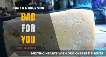 Moldy Parmesan: Safe or Not?