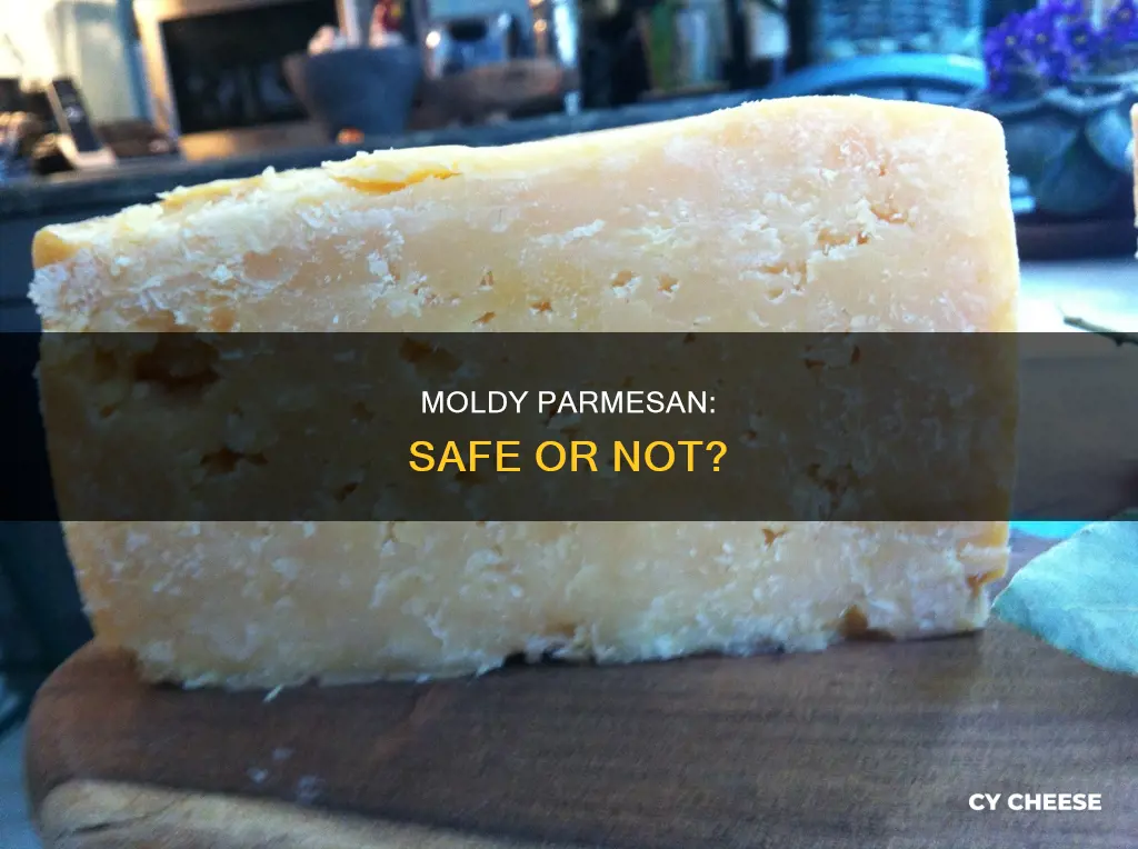is mold on parmesan cheese bad for you