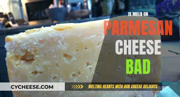 Moldy Parmesan: Is It Safe to Eat?