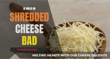 Moldy Shredded Cheese: Safe or Not?
