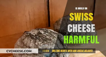 Swiss Cheese Mold: Is It Safe to Eat?
