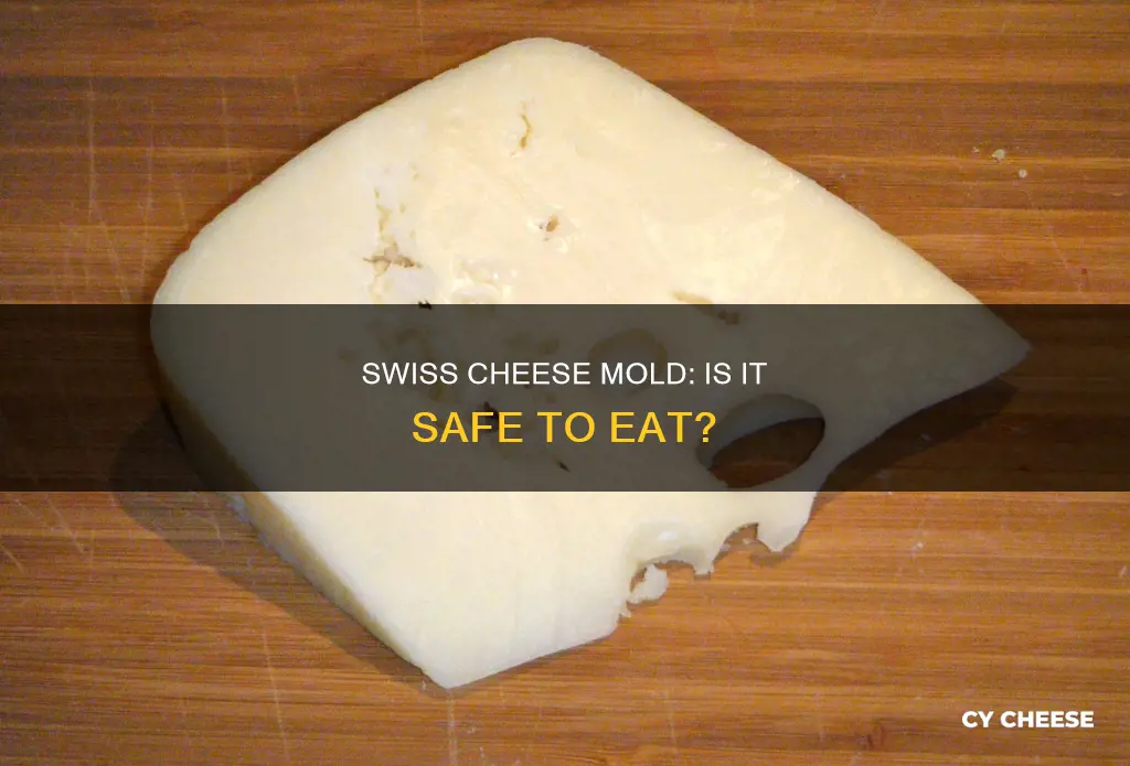 is mold on swiss cheese harmful