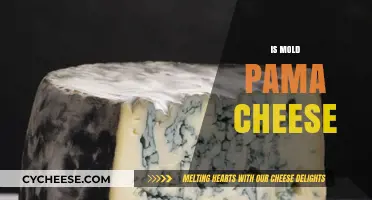 Is Mold on Pama Cheese Safe to Eat? Expert Insights