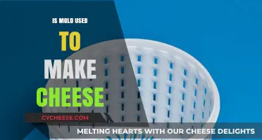 Cheese and Mold: A Complex Relationship