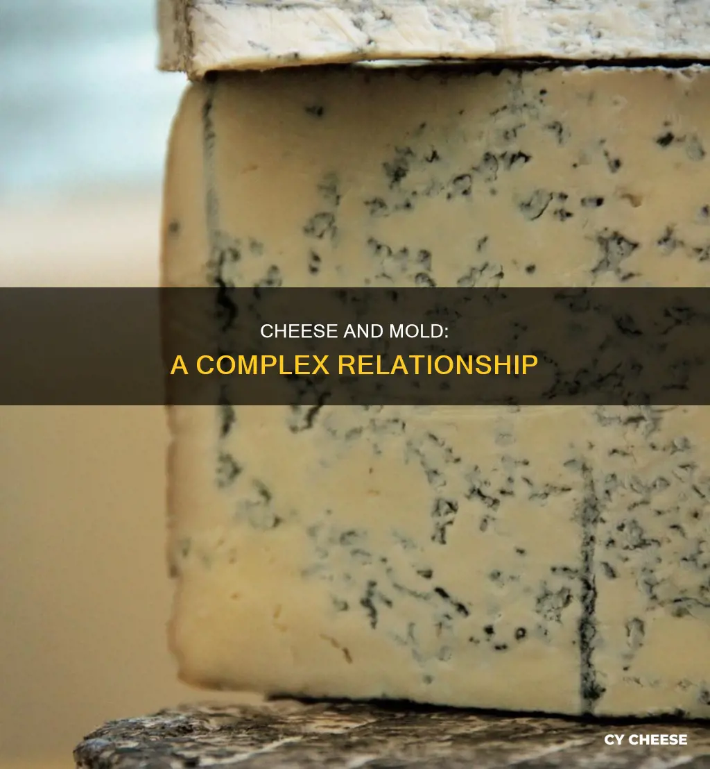 is mold used to make cheese