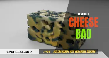 Molded Cheese: Is It Safe to Eat?