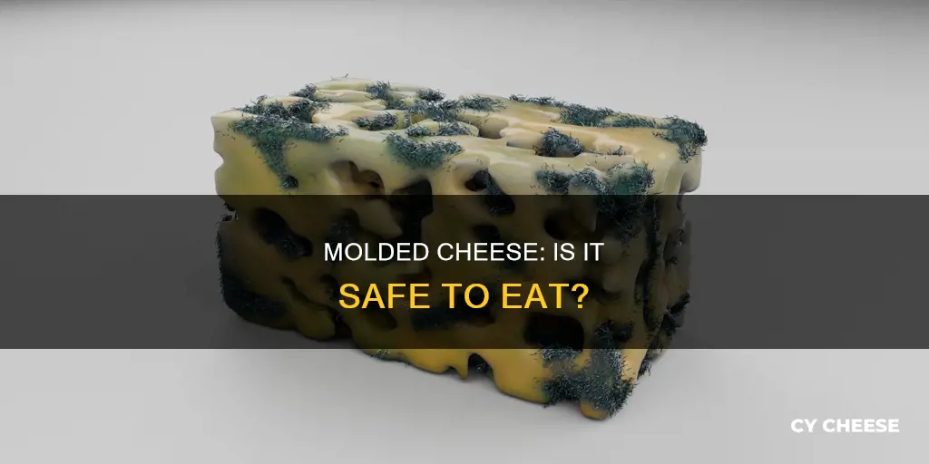 is molded cheese bad