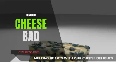 Moldy Cheese: Is It Safe to Eat?